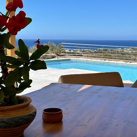 Mediterranean View Villa Makrýgialos 外观 照片